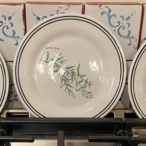 William Sonoma herb motif lunch plates - set of 3